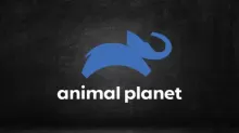 Assistir Animal Planet ao vivo em HD Online