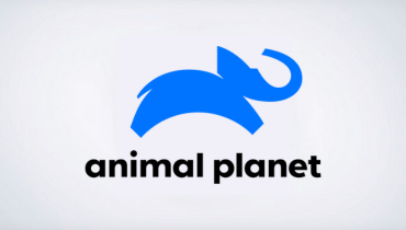 Assistir Animal Planet ao vivo em HD Online Assistir Animal Planet ao vivo em HD Online