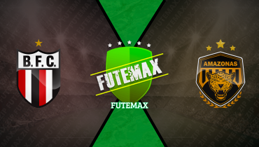 Assistir Botafogo-SP x Amazonas ao vivo online 10/11/2025